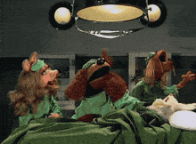 Muppets Muppet Show GIF - Muppets Muppet Show Vetrinarian'S Hospital GIFs