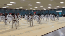 Taekwondo Kicking GIF