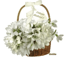 White Flowers GIF - White Flowers Basket GIFs