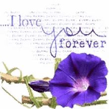 Love I Love You Forever GIF - Love I Love You Forever Flower GIFs