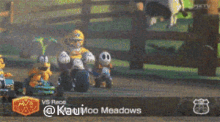 64ios Mario Kart GIF - 64ios Mario Kart Shy Guy GIFs