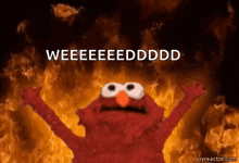 Elmo Burning GIF - Elmo Burning Hell GIFs