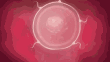 Love Impregnation GIF - Love Impregnation Egg Cell GIFs