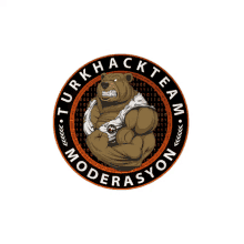 Turhack Team Flex GIF - Turhack Team Flex Bear GIFs