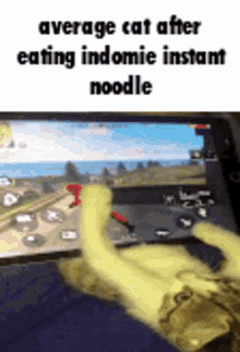a cat is playing a video game on a tablet and eating instant noodle .