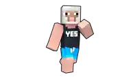a minecraft character is wearing a yes shirt