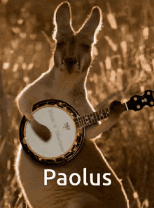 Paolus Official GIF - Paolus Official GIFs