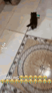 Maling Kucing GIF - Maling Kucing Ahhhhhhhh GIFs