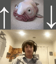 Blobfish GIF - Blobfish GIFs
