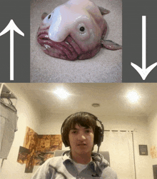 The Goblin's Den Blog: Blob Fish Meme