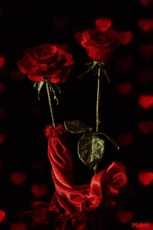 roses shedding many red roses hearts