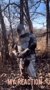 Knight In Shining Armor Cutie GIF - Knight In Shining Armor Knight Cutie GIFs