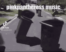 Trash Can Dance Pinkpantheress GIF - Trash Can Dance Pinkpantheress Tiktok Music GIFs
