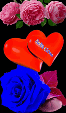 a red heart with anita cruz written on it sits on a blue rose