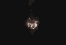 a fireworks display in the night sky with a dandelion in the foreground .