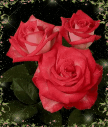 Flowers For My Love GIF - Flowers For My Love Bloom GIFs