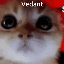 Vedant Padala Slash Vedant Vardhan GIF - Vedant Padala Slash Vedant Vardhan GIFs