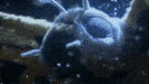 a close up of a moth with a blue light behind it