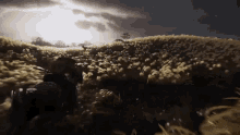 Ghost Of GIF - Ghost Of Tsushima GIFs
