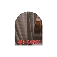 a picture of a person with the words " you rang " on it