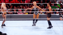 three women are wrestling in a wrestling ring .