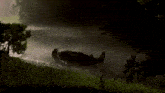 a silhouette of a person laying in a body of water with trees in the background