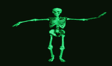 Esqueleto Skeleton GIF - Esqueleto Skeleton Dança Esqueleto GIFs