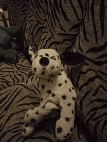 a stuffed dalmatian dog is laying on a zebra print blanket
