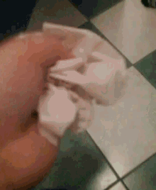 Toilet Tissue GIF - Toilet Tissue Wiggle GIFs