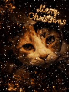 Merry Christmas Tis The Season GIF - Merry Christmas Tis The Season Animal Cute GIFs