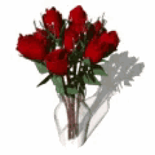 Flowers Roses GIF - Flowers Roses Red Roses GIFs