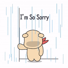 apology sorry