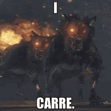 I Care Dog GIF - I Care Dog GIFs
