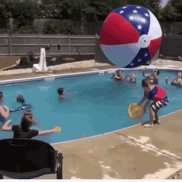 Dog bouncing beach clearance ball