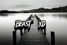 beast xd