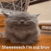 a cat with its eyes closed and the words sheeeeesh i 'm out bruv written below it