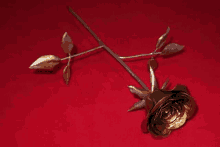 Rose Steel GIF - Rose Steel GIFs