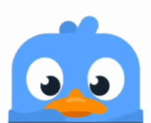 a blue bird with big eyes and an orange beak .