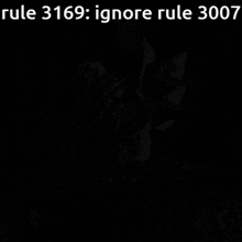 Rule 3169 Igrone Rule 3007 GIF - Rule 3169 Igrone Rule 3007 Rule 3007 GIFs
