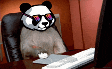 a panda bear wearing sunglasses sits at a desk in front of a computer