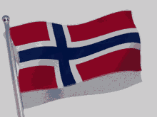 norway flag flag waver