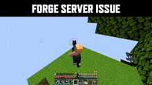 Minecraft Minecraft Forge GIF - Minecraft Minecraft Forge GIFs