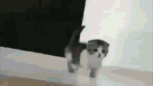 Cat Neko GIF - Cat Neko Mac And Cheese GIFs