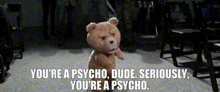 Ted 2 Youre A Psycho Dude GIF
