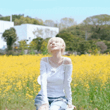 a woman sitting in a field of yellow flowers