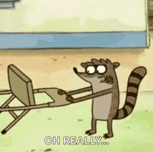 a cartoon raccoon is holding a folding chair and says oh really .