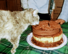 Birthday Cake Birthday GIF - Birthday Cake Birthday Birthday Wishes GIFs