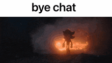 a shadow the hedgehog standing in front of a fire with the words bye chat below him