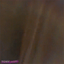 Tony Talks Iamtonytalks GIF