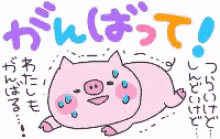 Pig Tired GIF